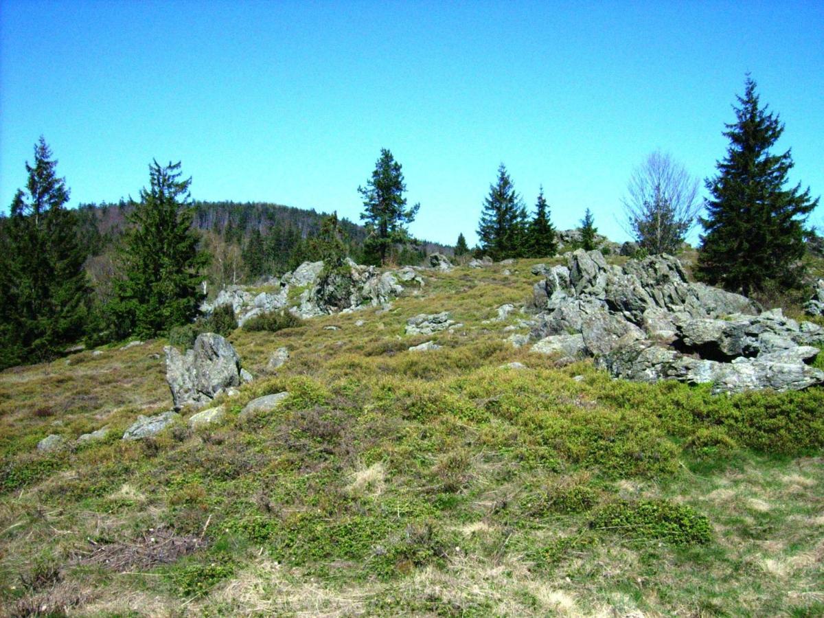 Holiday Home Near The Ski Slope Stadlern Kültér fotó